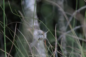 DSCF5045.JPG