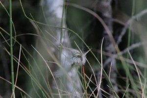 DSCF5047.JPG