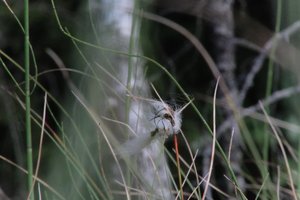 DSCF5048.JPG