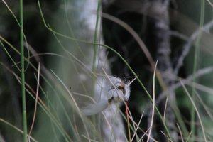 DSCF5049.JPG