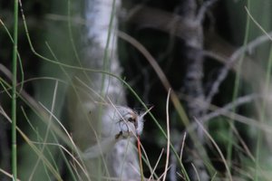 DSCF5051.JPG
