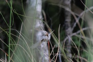 DSCF5057.JPG