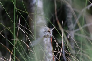 DSCF5058.JPG