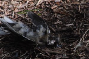 DSCF5063.JPG