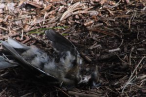 DSCF5072.JPG