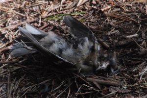 DSCF5080.JPG