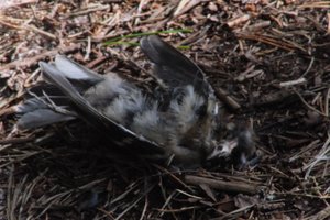 DSCF5081.JPG