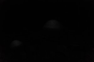 DSCF5086.JPG