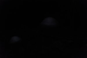 DSCF5087.JPG
