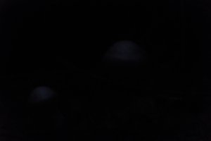 DSCF5088.JPG