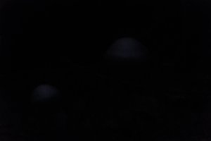DSCF5089.JPG