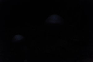DSCF5093.JPG
