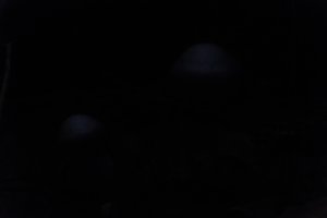 DSCF5094.JPG