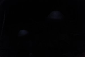 DSCF5095.JPG