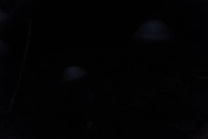 DSCF5097.JPG