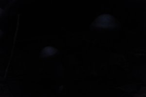 DSCF5098.JPG