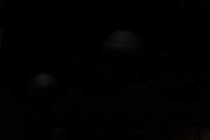 DSCF5109.JPG