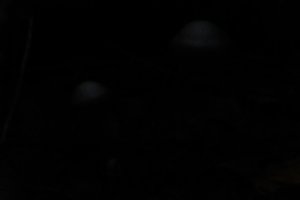 DSCF5111.JPG