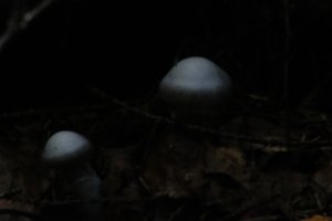 DSCF5112.JPG