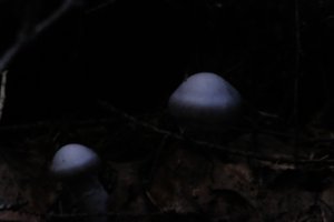 DSCF5122.JPG