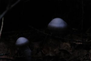 DSCF5123.JPG
