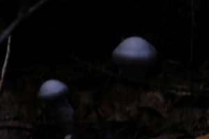 DSCF5124.JPG