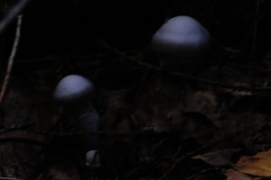 DSCF5127.JPG