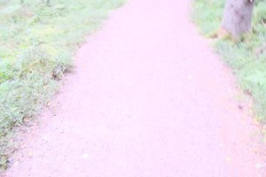 DSCF5135.JPG
