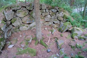 DSCF5142.JPG