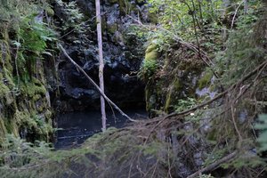 DSCF5152.JPG