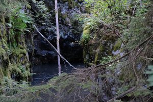 DSCF5153.JPG