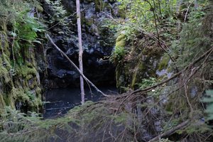 DSCF5155.JPG