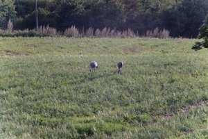 DSCF5164.JPG