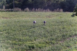 DSCF5166.JPG