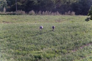 DSCF5167.JPG