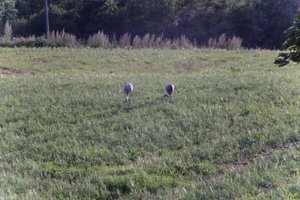 DSCF5180.JPG