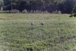 DSCF5183.JPG