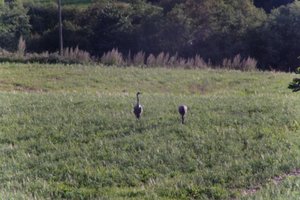 DSCF5186.JPG