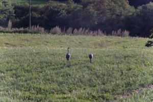 DSCF5187.JPG