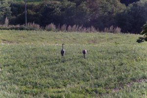 DSCF5191.JPG