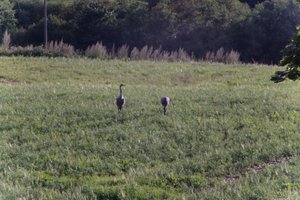 DSCF5192.JPG