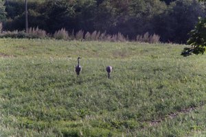 DSCF5194.JPG