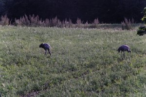 DSCF5201.JPG