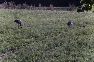 DSCF5211.JPG