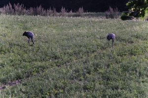 DSCF5212.JPG