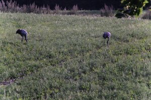 DSCF5214.JPG