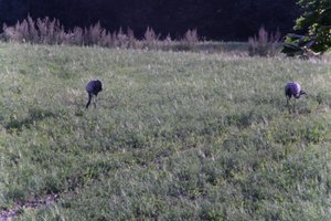 DSCF5220.JPG