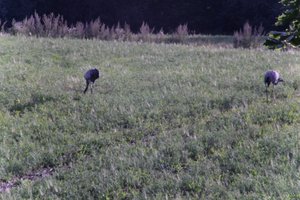 DSCF5222.JPG