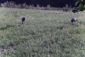 DSCF5232.JPG