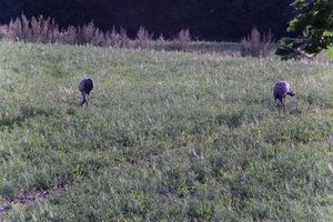 DSCF5237.JPG